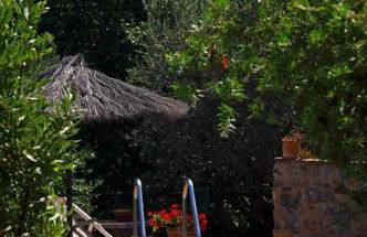 Villa Ginestra a "Casa Conti di Sotto" - Foto 39