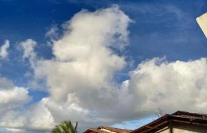 Chalé das Palmeiras - Foto 3