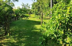 The Cow Hide @ Mill Burn Hollow. - Foto 18