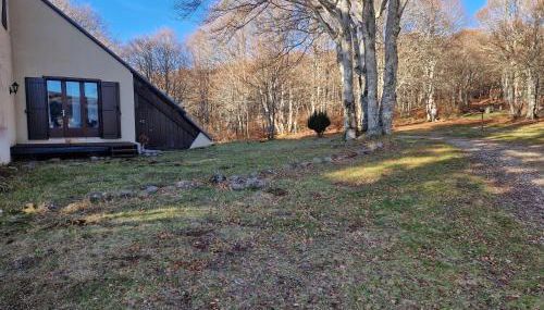 Le Chalet de l Abeille - Photo 3