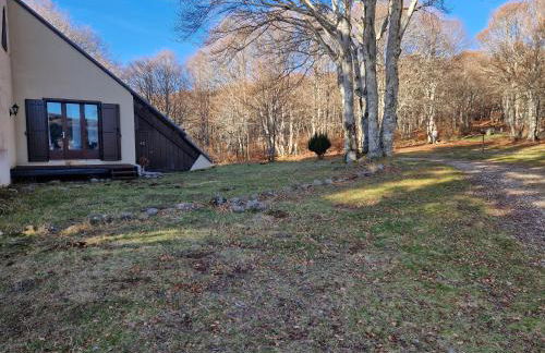 Le Chalet de l Abeille - Photo 3