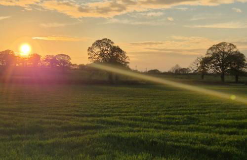 The Old Mill Annexe - Foto 71