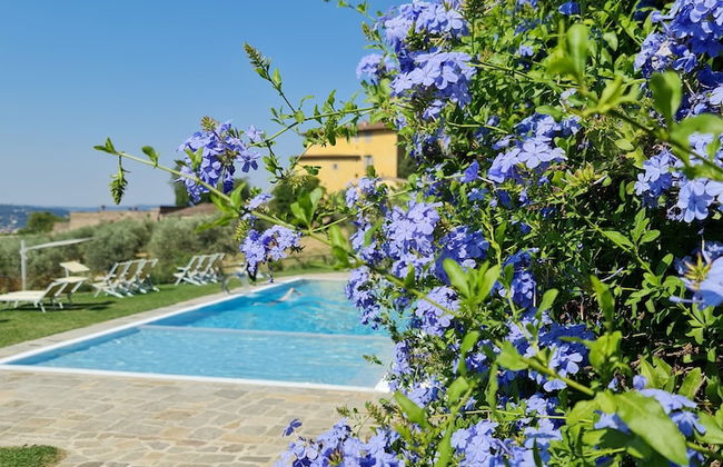 Fattoria di Maiano - Foto 77