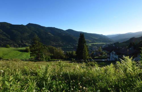 Agritur Darial - Photo 109