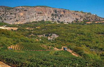 Rapsani Panorama Villa - Photo 77