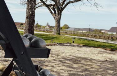 Maison de Pauline, Chablis Vineyard - Foto 33