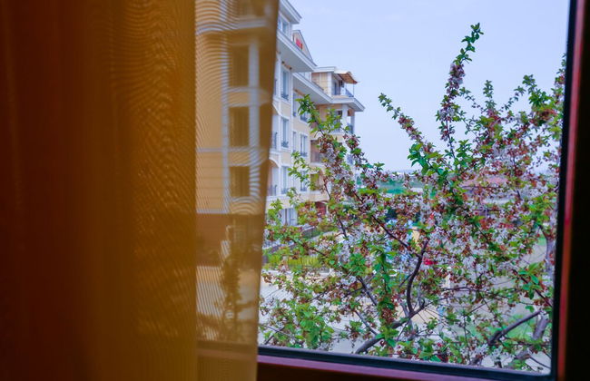 2 Bedroom Apartment in Dafinka Guest House - Photo 19