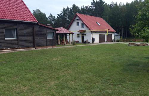 Pokoje w lesie - Foto 14