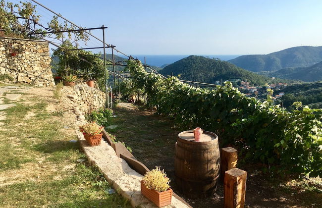 Agriturismo LaValleggia - Foto 55