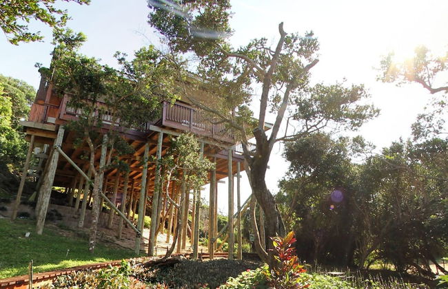 Campismo Ninho 28 - Photo 8