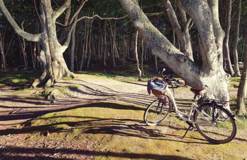 Pauza Spacja Apartamenty - Foto 47