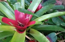 Casa de Campo , Lagoa Nova - Linhares ES - Foto 5