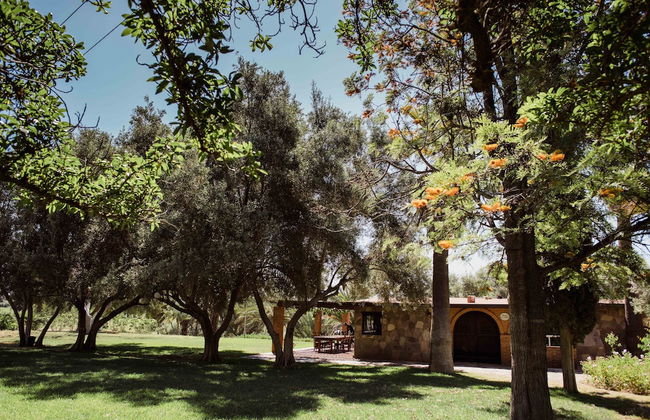 Rancho Toros Pintos - Foto 26