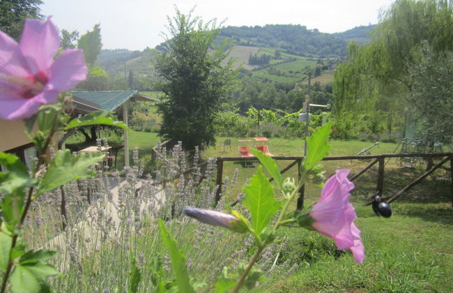 Agriturismo le Spighe - Fattoria Bertaccini - Foto 90