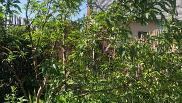 Ferienhaus Creutzig am Bodensee - für Familien und Gruppen - Foto 5