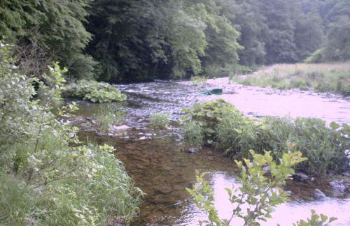 Haus Schönblick - Foto 19