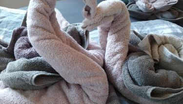 FeRo´s Ferienwohnung - Foto 3, towels