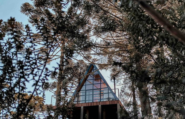 Chalé Verde da Serra - Foto 40