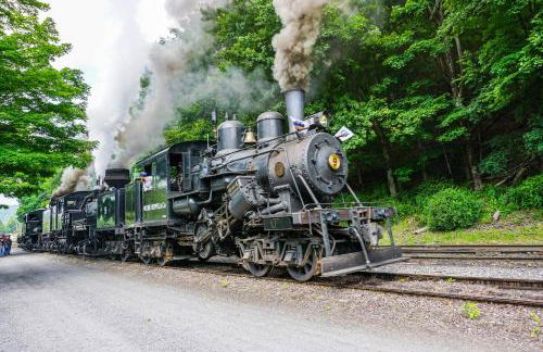 5 Br: Historic Glaab House in Cass, with AC, Amazing Kitchen, Covered Porches, Historical Landmark - Foto 49