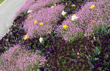 Appartementhof Stadler - Foto 47