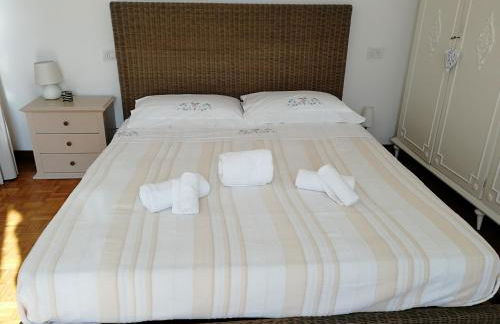 I tulipani - Foto 28