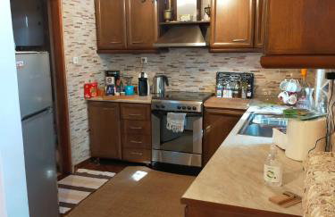 ΑΡΧΟΝΤΙΚΟ ΑΡΤΕΜΙΣ-Villa Artemis since 1871 - Foto 17