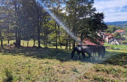 Chevaux au Soleil - Foto 50
