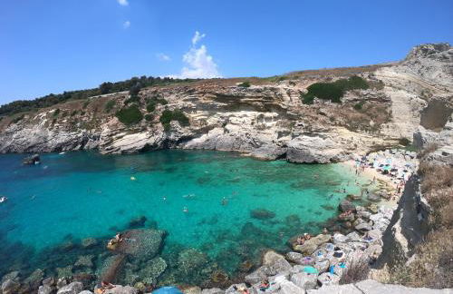 Azienda Agrituristica B&B La Torre - Photo 18