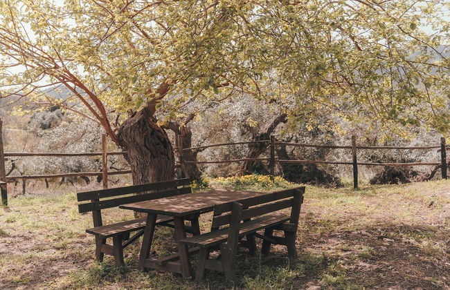 agriturismo i moresani - Photo 70