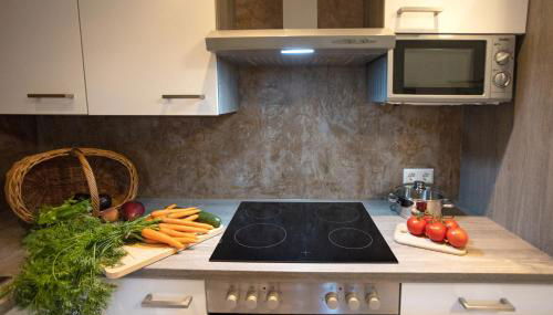 Ferienwohnung Burgblick im Neuffener Tal mit Sauna und Wallbox - Foto 3, stove