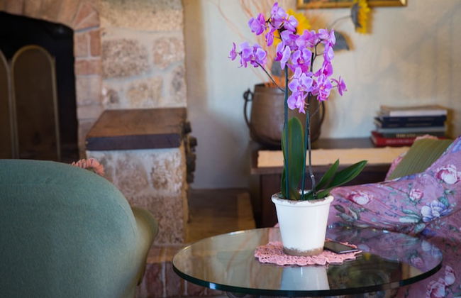 Agriturismo Le Anfore - Foto 65