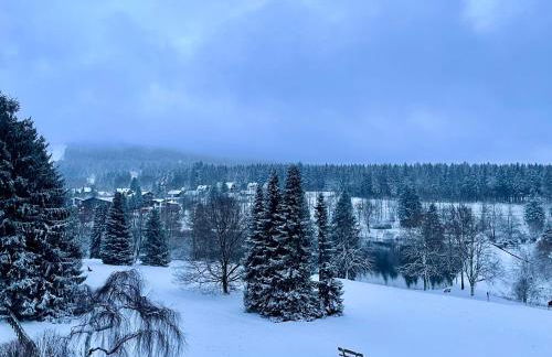 Ferienwohnung Harzurlaub - Photo 64