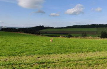 Ferienhaus Schulte - Villa Jupp und Apartment Liesl - Foto 40