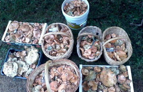 Casa Rural La Valentina - Foto 29