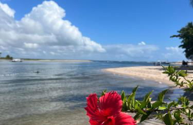 Chales Canto dos Pássaros Boipeba - Foto 49