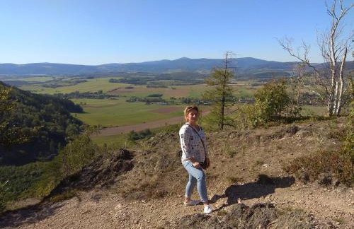 Sudecka Ostoja z Balią i Sauną - Foto 28