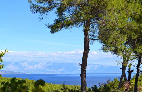 Apartments Basina - Foto 42