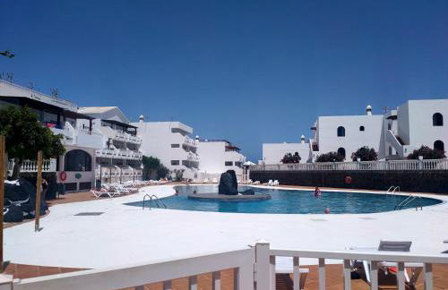 Flor De Cactus - Foto 8