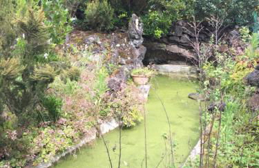 Intact Farm Resort - Photo 44