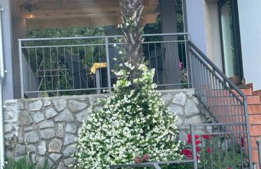 Apartmani ViVa - Foto 10