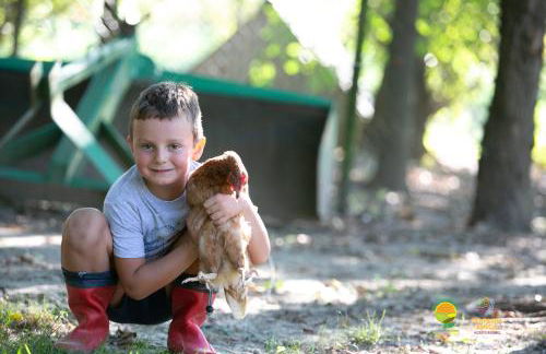 Agriturismo ai Carpini - Foto 11