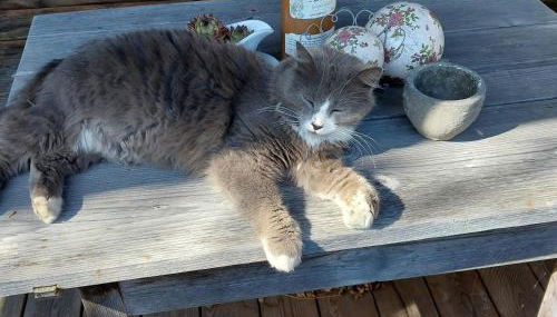 Ferienwohnung Beim Straßer - Foto 4