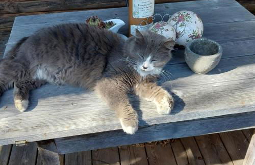 Ferienwohnung Beim Straßer - Foto 4