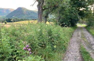 Highland Holiday Home - Foto 33