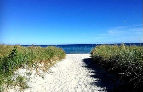 Insel-Reetkate auf Fehmarn - Foto 15