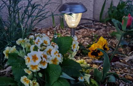 Gite du soleil levant - Foto 23