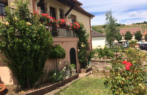 Gite Le Mandlé - Photo 68