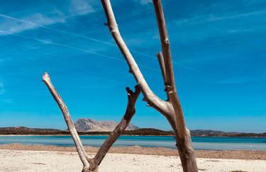 Isola Sarda Appart NICE - Photo 39