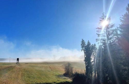 Ferienwohnung Hardt im Schwarzwald - Foto 25