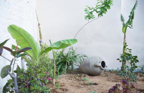 Villa Cardia - Photo 35